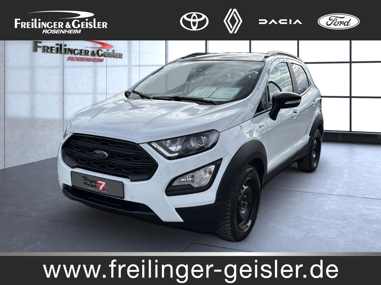 Ford EcoSport Active LED Kamera PDC h. Navi Keyless S