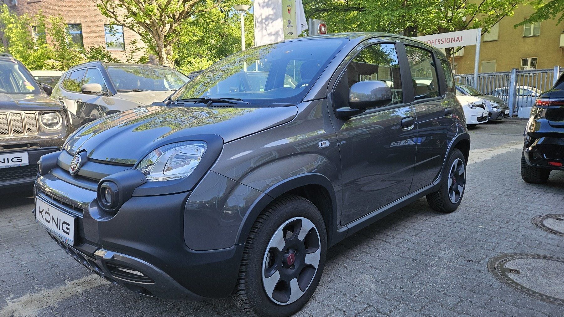 Fiat Panda Cross City Plus 1.0 Klima Allwetter