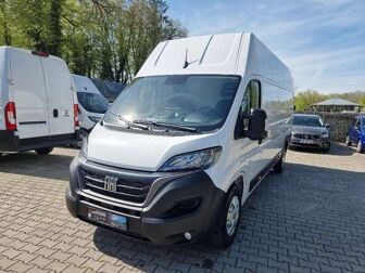 Fahrzeug FIAT Ducato undefined