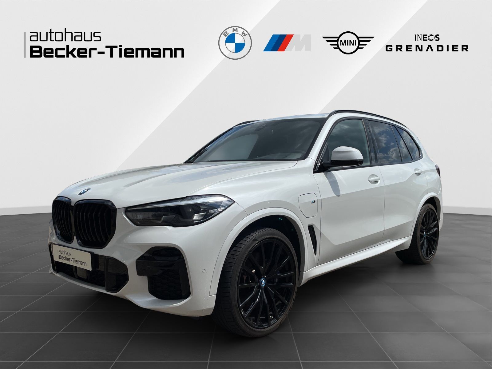 BMW X5 xDrive45e M Sport Panorama | 2-Achs Luftf. |