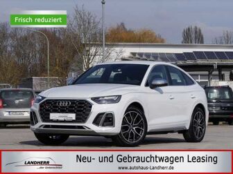 Fahrzeug AUDI Quattro undefined