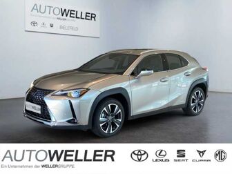 Fahrzeug LEXUS UX undefined