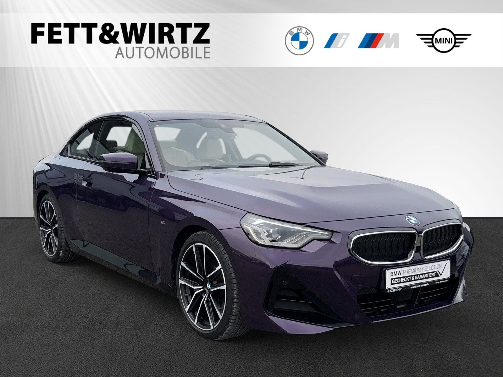 BMW 220i Coupé M Sport|19 LM|Driving&ParkingAss|HiFi