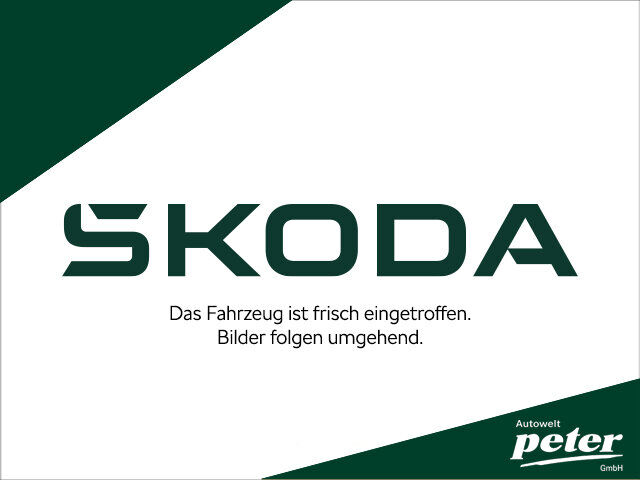 SKODA KAMIQ TSI STYLE **LED*PDC*KAMERA*DAB*MFL*GRA**