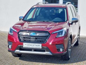 Fahrzeug SUBARU Forester undefined