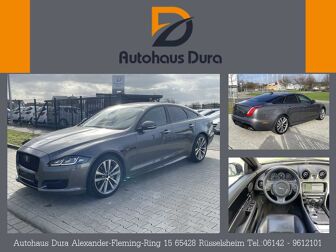 Fahrzeug JAGUAR XJ undefined