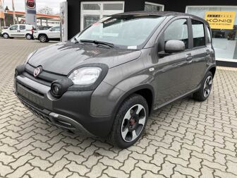 Fahrzeug FIAT Panda undefined