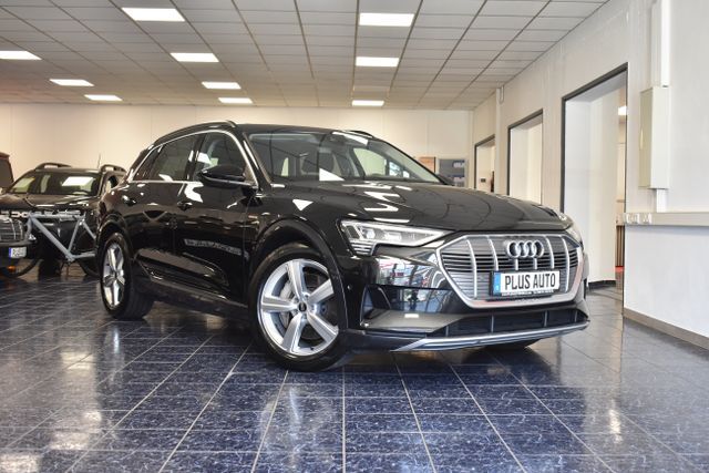 Audi e-tron 50 Quattro Navi LED Virtual Panoram AHK