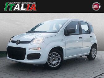 Fahrzeug FIAT Panda undefined