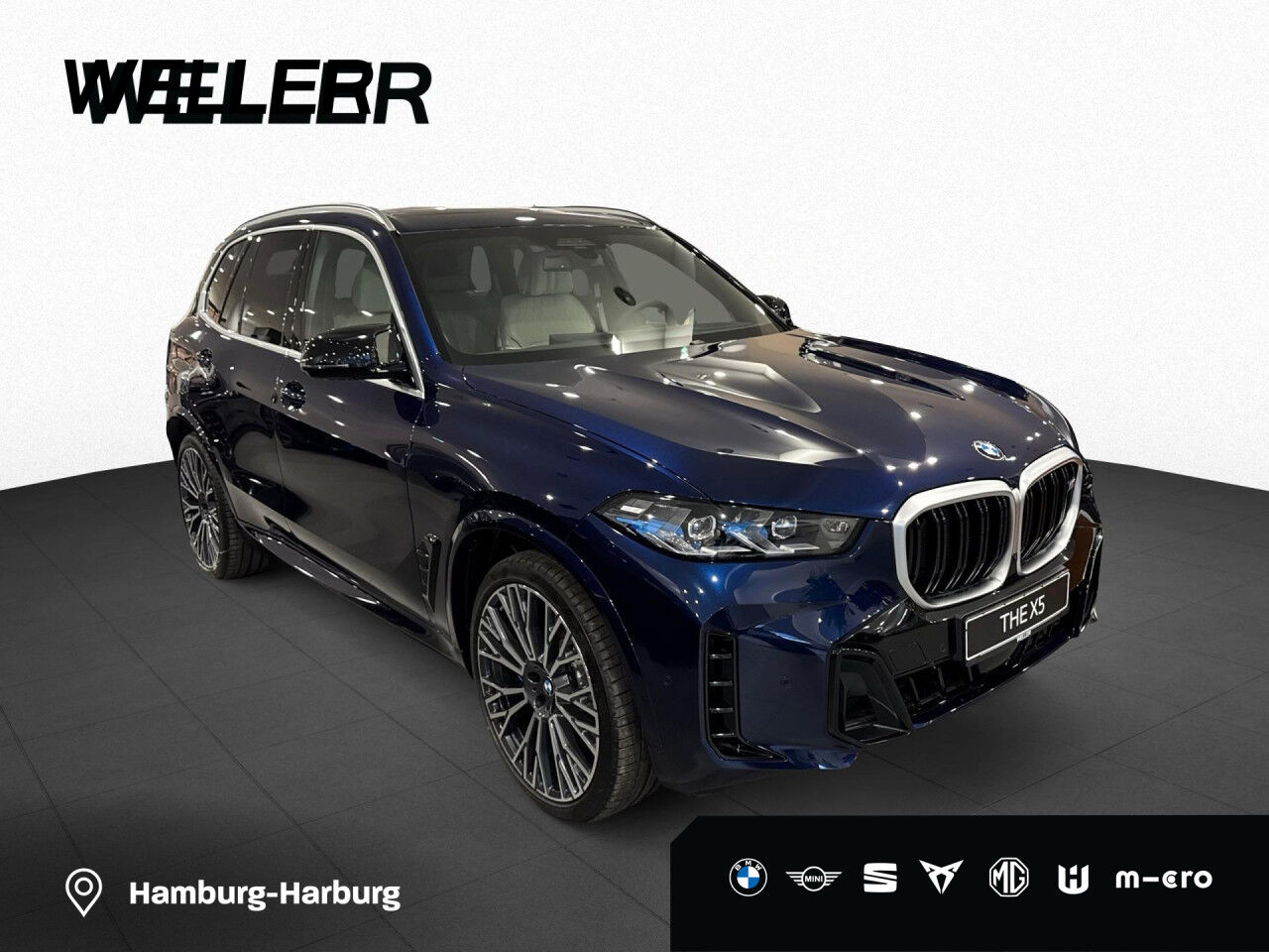 BMW X5 M60i xD InnoPaket B&W Pano AHK ExklusicPake LED