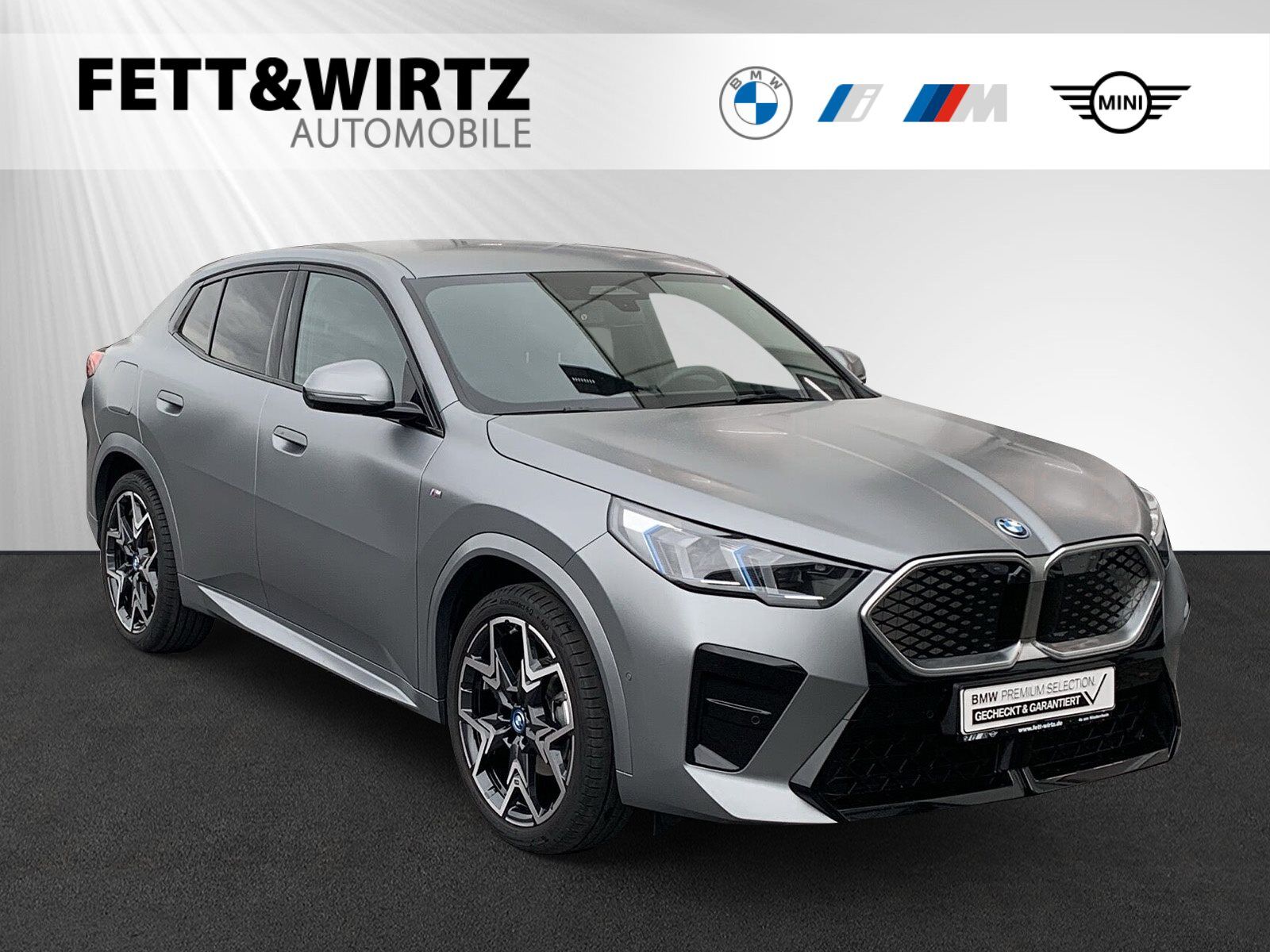 BMW iX2 eDrive20 M Sport|AHK|Head-Up|Harman/Kardon