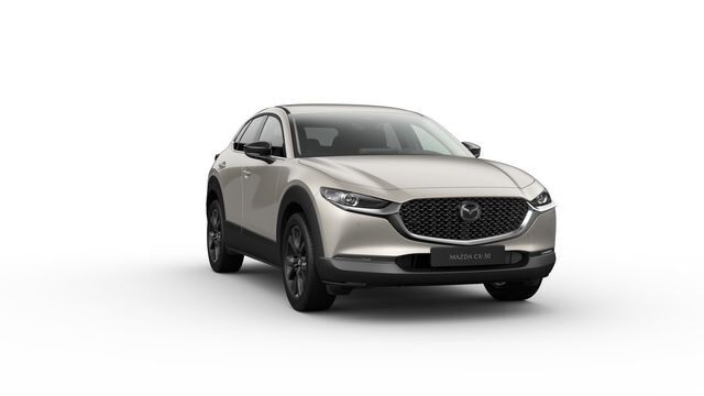 Mazda CX-30 2.5 Homura *Klimaautomatik*Rückfahrkamera*
