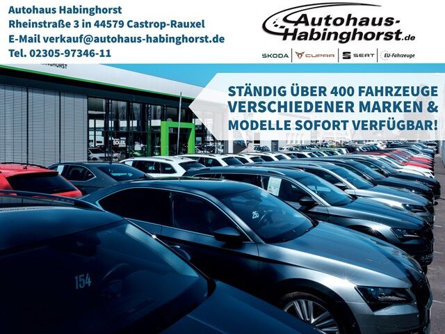 Cupra Leon Sportstourer 2.0 TSI DSG 4Drive VZ AHK Matr