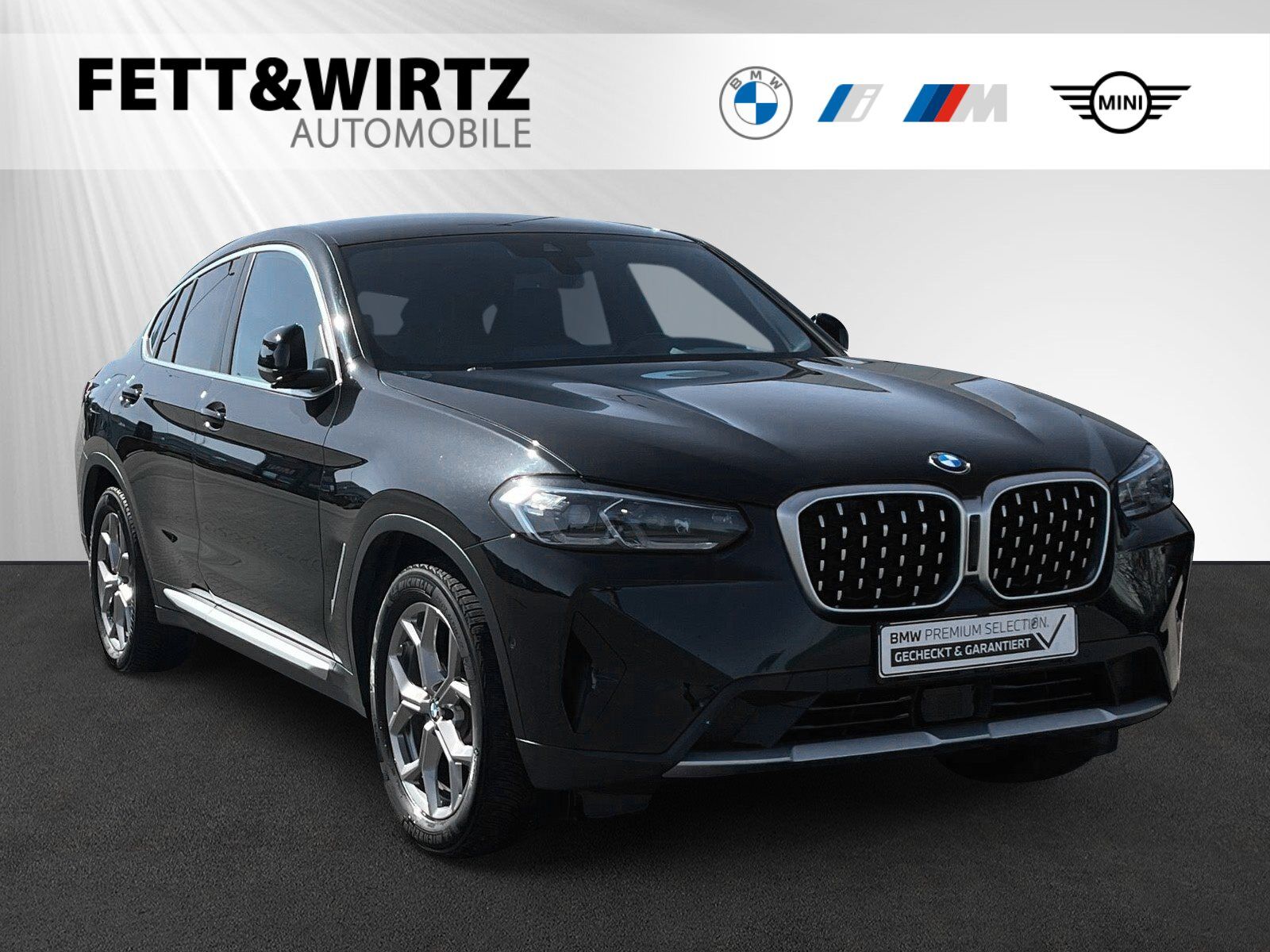 BMW X4 xDrive20i Laser PA HiFi LCProf