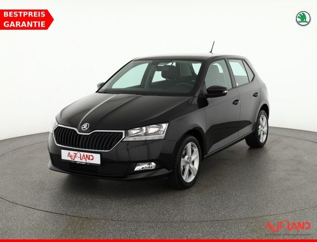 Skoda Fabia 1.0 MPI Cool Plus Klima Sitzheizung DAB