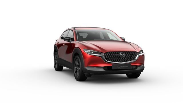 Mazda CX-30 2.5 Homura *Klimaautomatik*Sitzheizung*