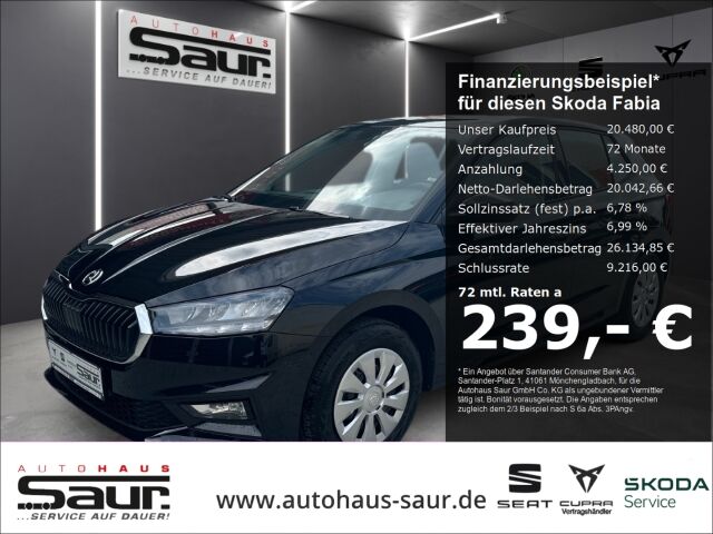 Skoda Fabia Selection 1.0 TSI LED SMART LINK DAB PDC K