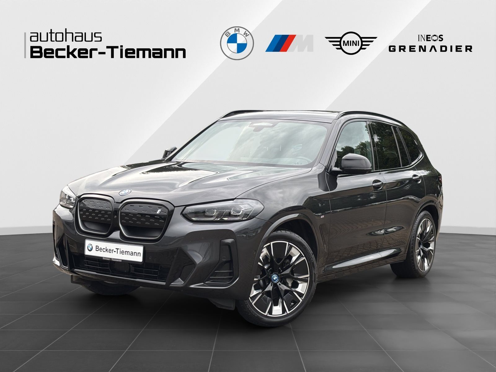 BMW iX3 M Sport | AHK | HiFi HK | Park. Assist + | D