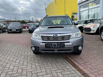 Fahrzeug SUBARU Forester undefined
