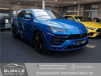 Fahrzeug LAMBORGHINI Urus undefined