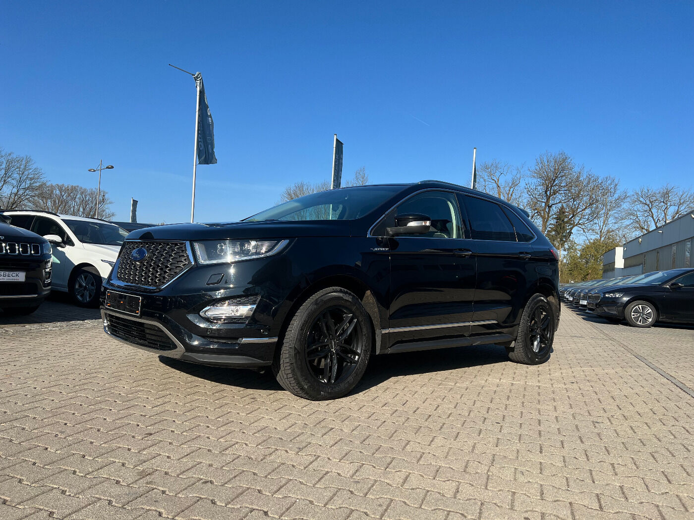Ford Edge 2.0 TDCi Bi-Turbo Vignale LED Nav Leder AHK