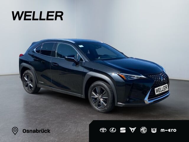 Lexus UX 250h Amazing Edition *Bi-LED*ACC*CAM*CarPlay*