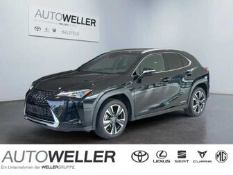 Fahrzeug LEXUS UX undefined