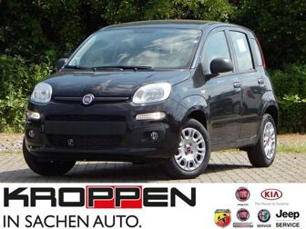Fahrzeug FIAT Panda undefined