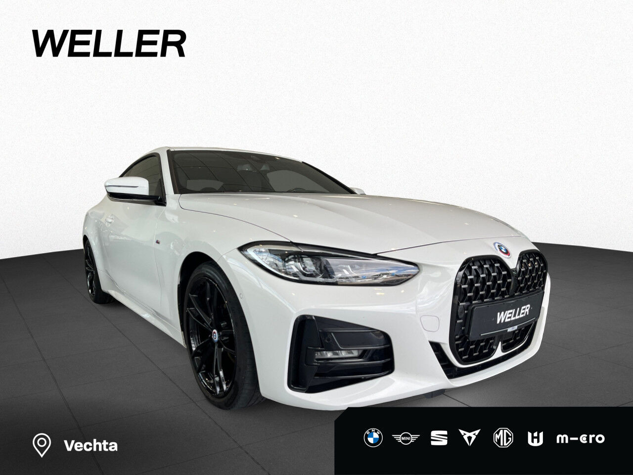 BMW 420i M Sport RFK LED LiCoPro HiFi AHK ACC 19