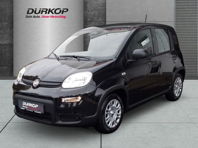 Fiat Panda 1.0 PDC Klimaanlage el. Fenster el. Spiege