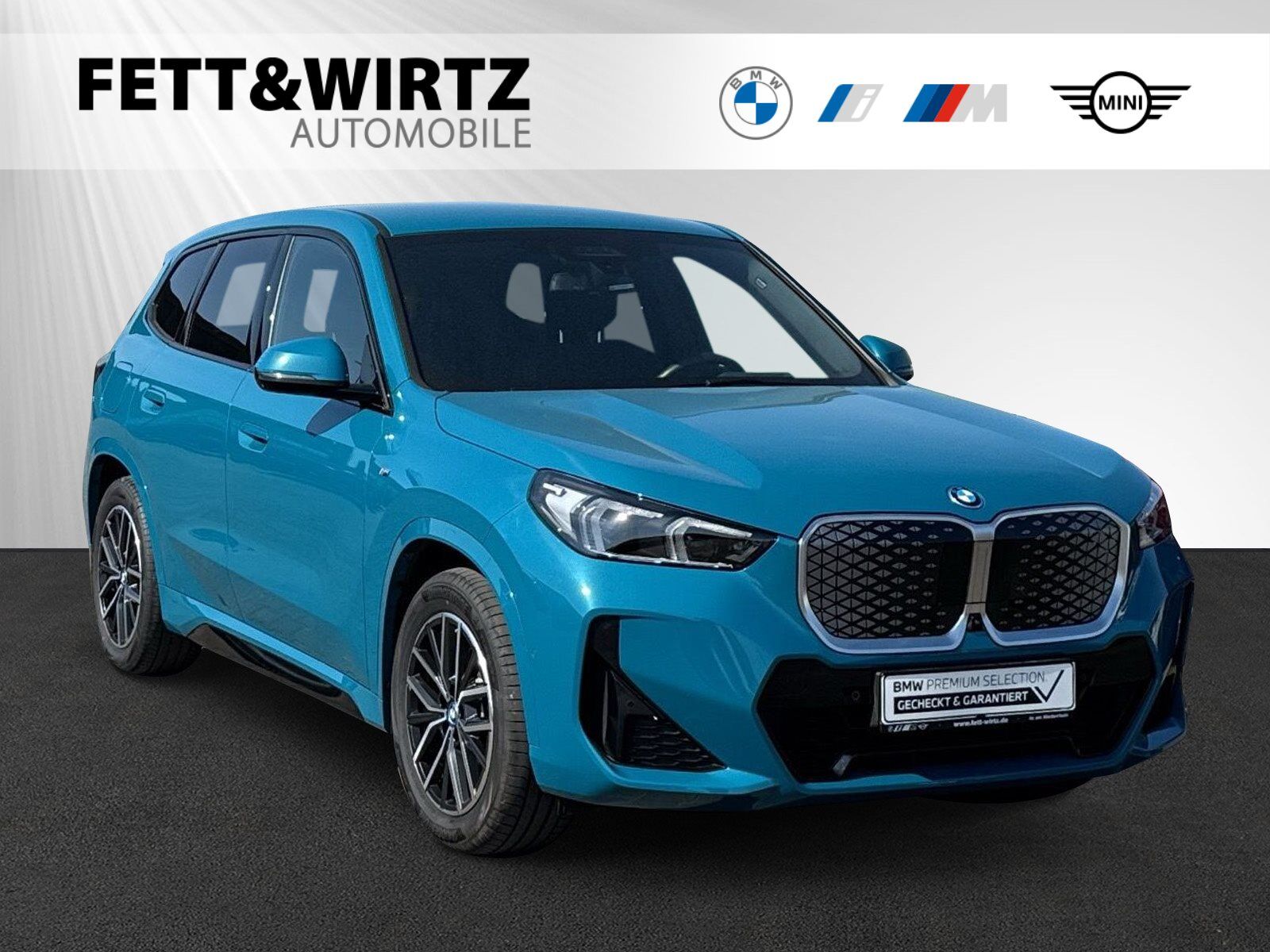 BMW iX1 xDrive30 M Sportpaket|AHK|Head-Up|DA-Prof.