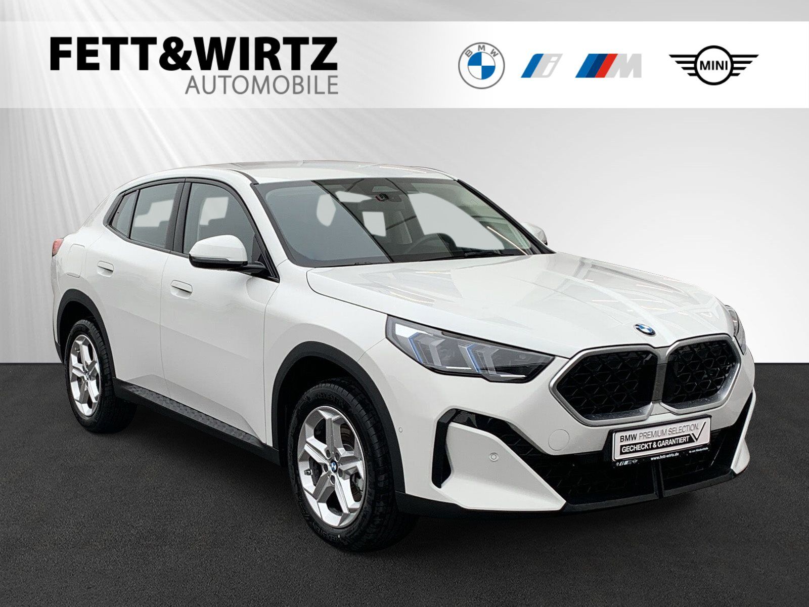 BMW X2 sDrive20i Aut.|DrivingAssistant|ParkingAssistant