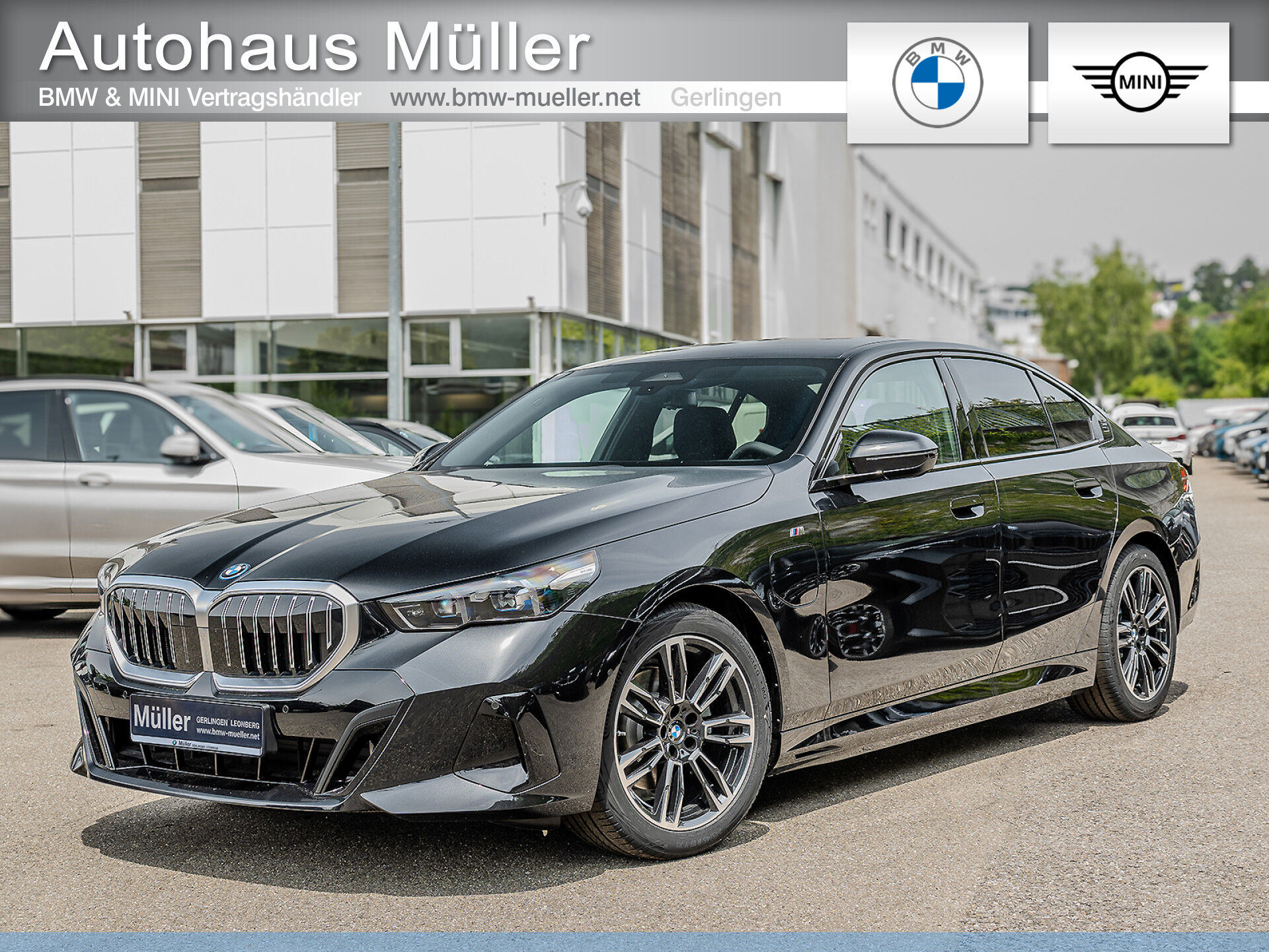 BMW 530e Lim M Sport Keyless AHK Lenkradheizung Navi
