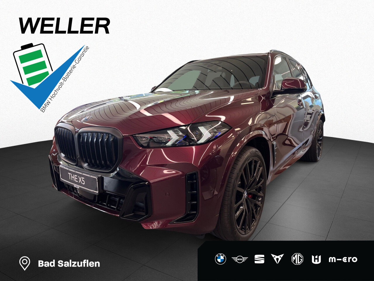 BMW X5 xDrive50e Bowers&Wilkins Autobahn Assistent LED
