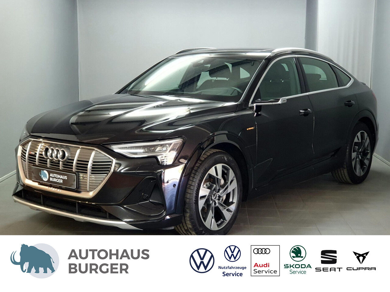 AUDI e-tron Sportback 50 qu. S line/Panorama/Matrix