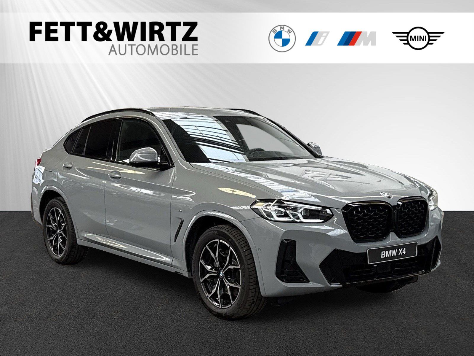 BMW X4 xDrive30i M Sport|HiFi|Stop&Go|19 LM