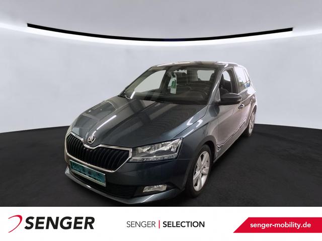 Skoda Fabia 1.0 TSI Cool Plus SHZ Klima Smart Link+