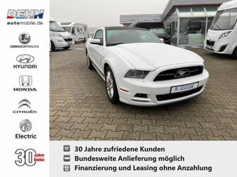 Fahrzeug FORD Mustang undefined