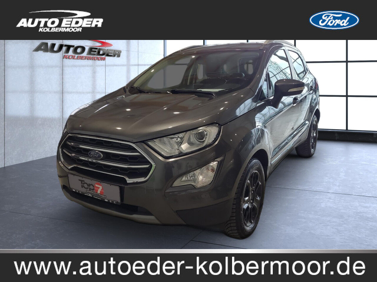 FORD EcoSport Titanium Bluetooth Klima Standhzg