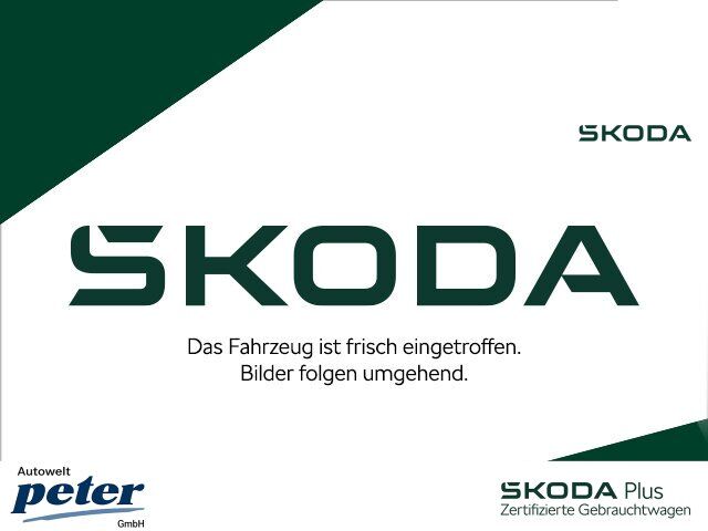 SKODA FABIA TSI CLEVER **ACC*SITZH.*PDC*NSW*MFL*DAB**