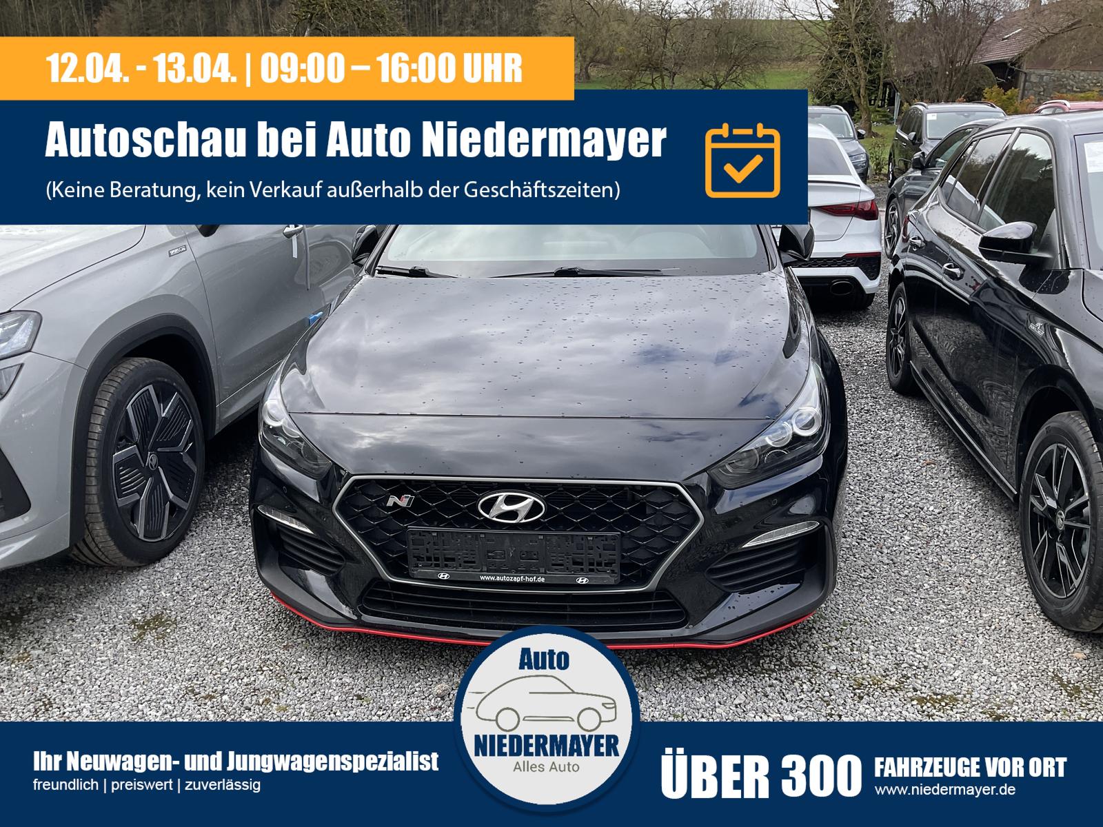 Hyundai i30 N Performance 2.0 TGDI, Pano, LED, Kamera