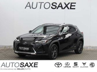 Fahrzeug LEXUS UX undefined