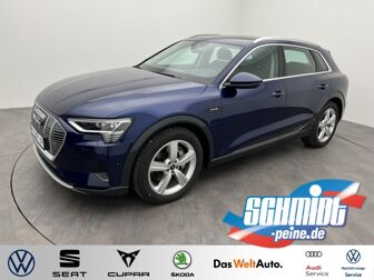 Fahrzeug AUDI E-tron undefined