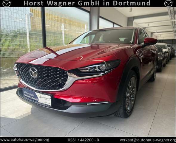 Mazda CX-30 Selection X 186 PS *AWD*Leder*Premium*Desi