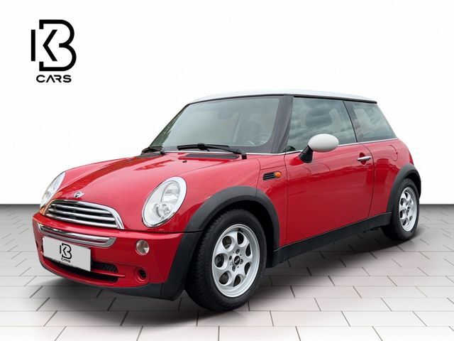 Mini Cooper WASSERVERLUST